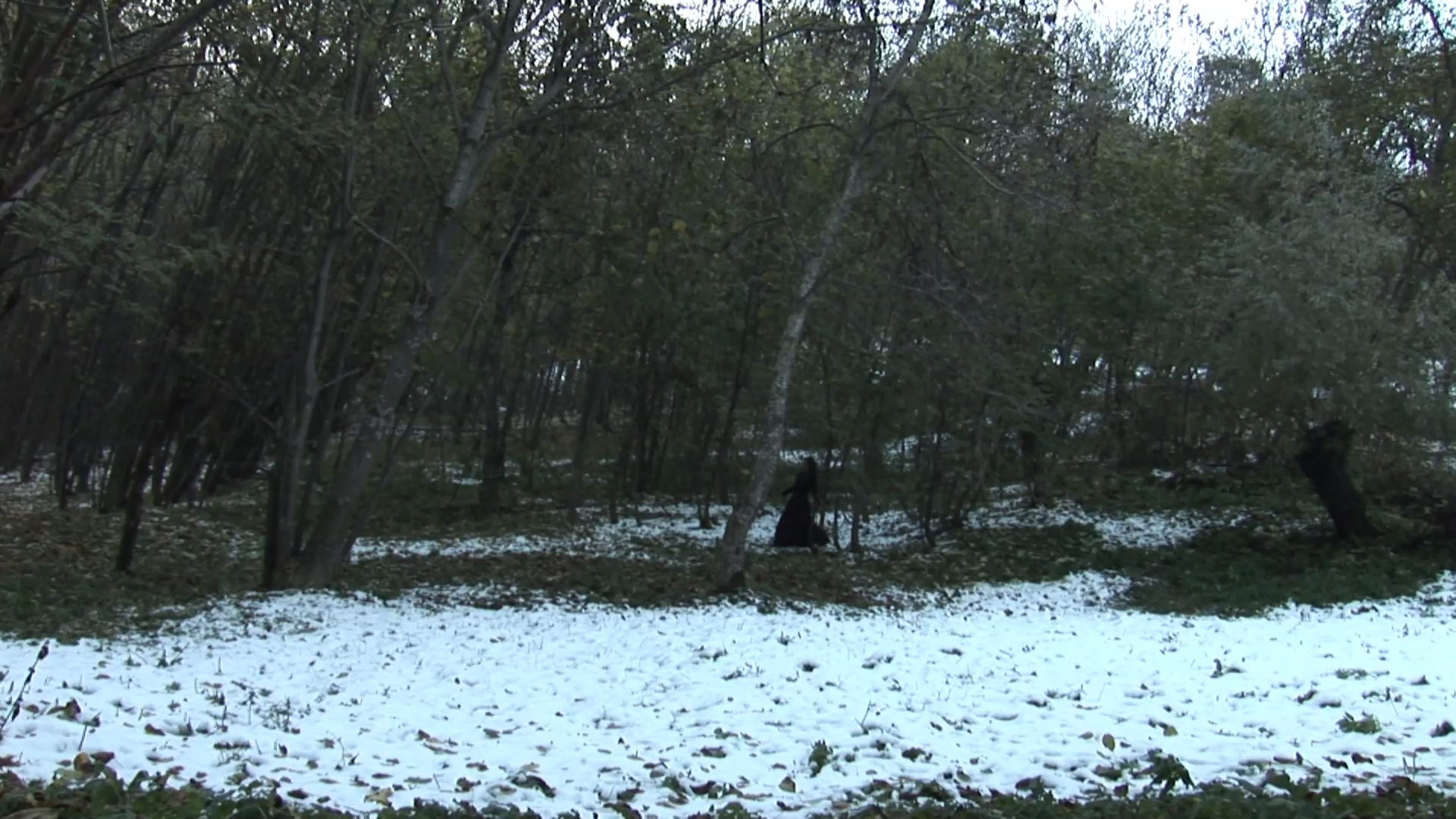 Second Part par Zandrine C