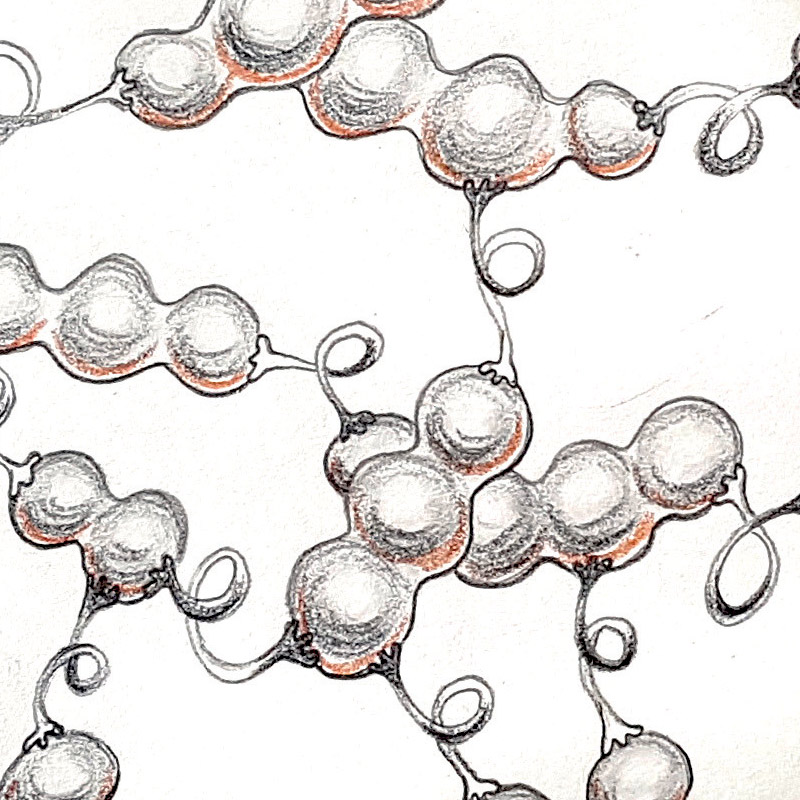 <img alt="" src="/user/pages/03.travaux/04.compositions-visuelles/tout/04.especes-kquaaniennes-2022/Pisavolans-crayon-pois-Zandrine-C-01.jpg?name" /> par Zandrine C