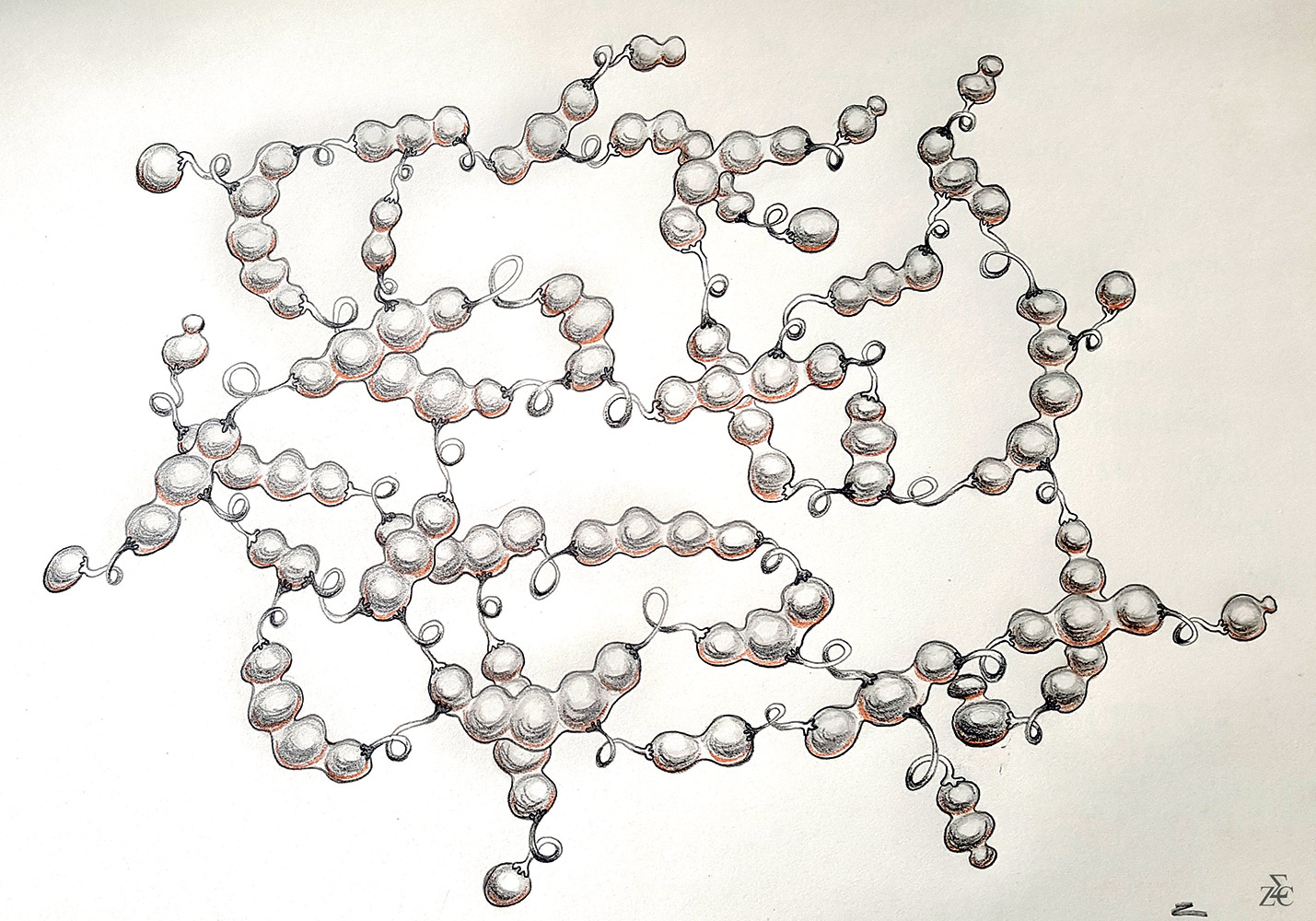 <img alt="" src="/user/pages/03.travaux/04.compositions-visuelles/tout/04.especes-kquaaniennes-2022/Pisavolans-crayon-pois-Zandrine-C.jpg?name" /> par Zandrine C