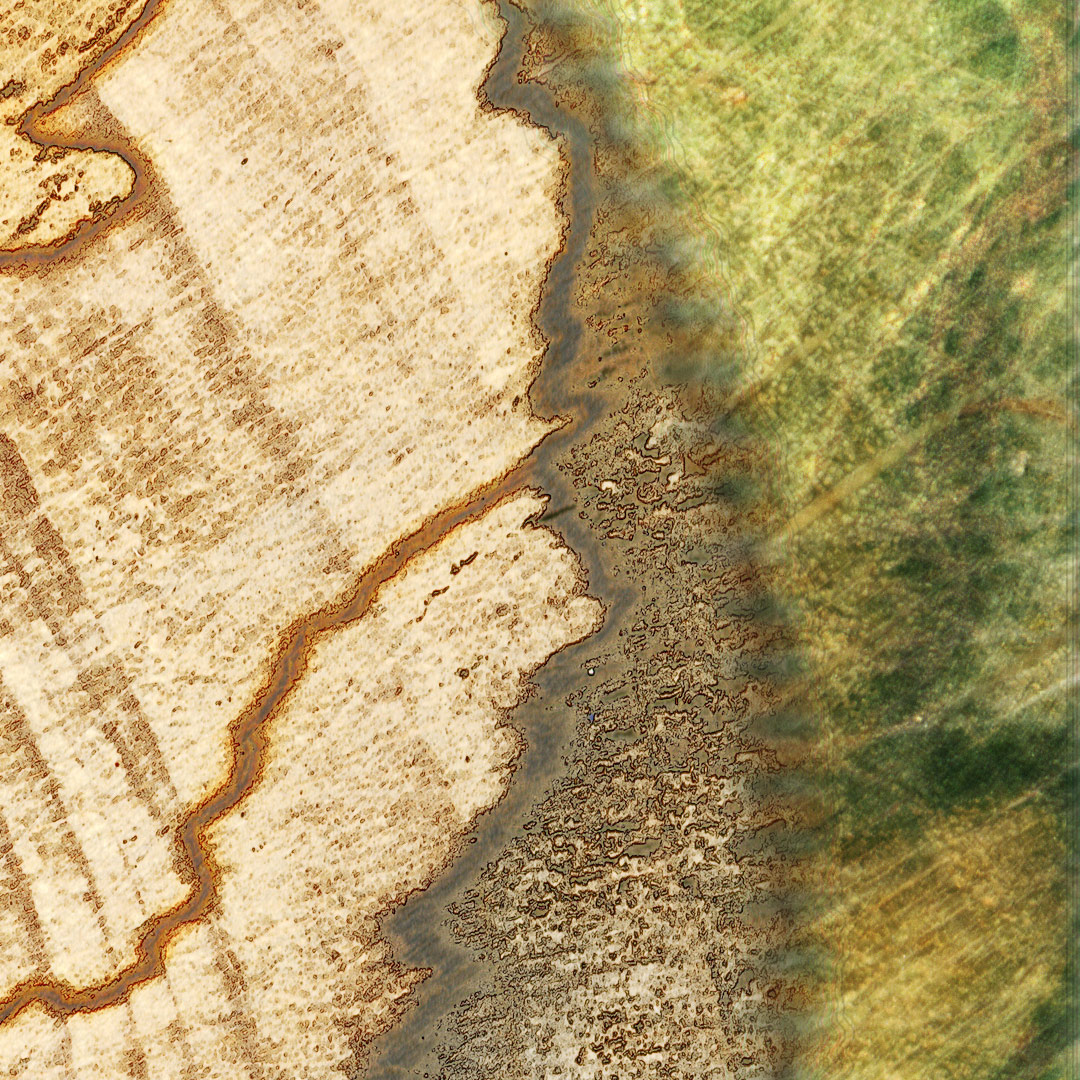 <img alt="" src="/user/pages/03.travaux/04.compositions-visuelles/tout/11.topographie-dune-ile-2014/tranche-totpographie-2014-ZC-detail-04.jpg?name" /> par Zandrine C