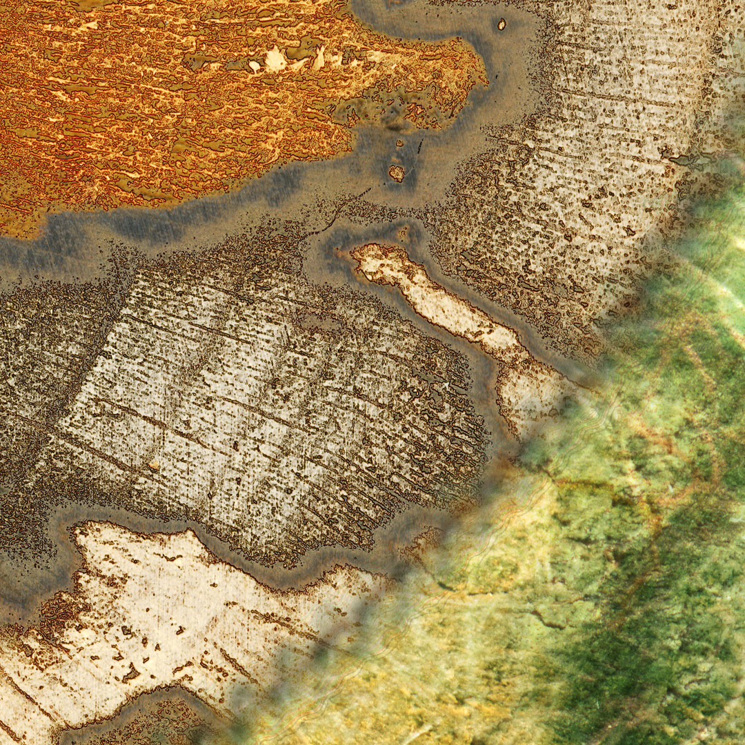 <img alt="" src="/user/pages/03.travaux/04.compositions-visuelles/tout/11.topographie-dune-ile-2014/tranche-totpographie-2014-ZC-detail-05.jpg?name" /> par Zandrine C