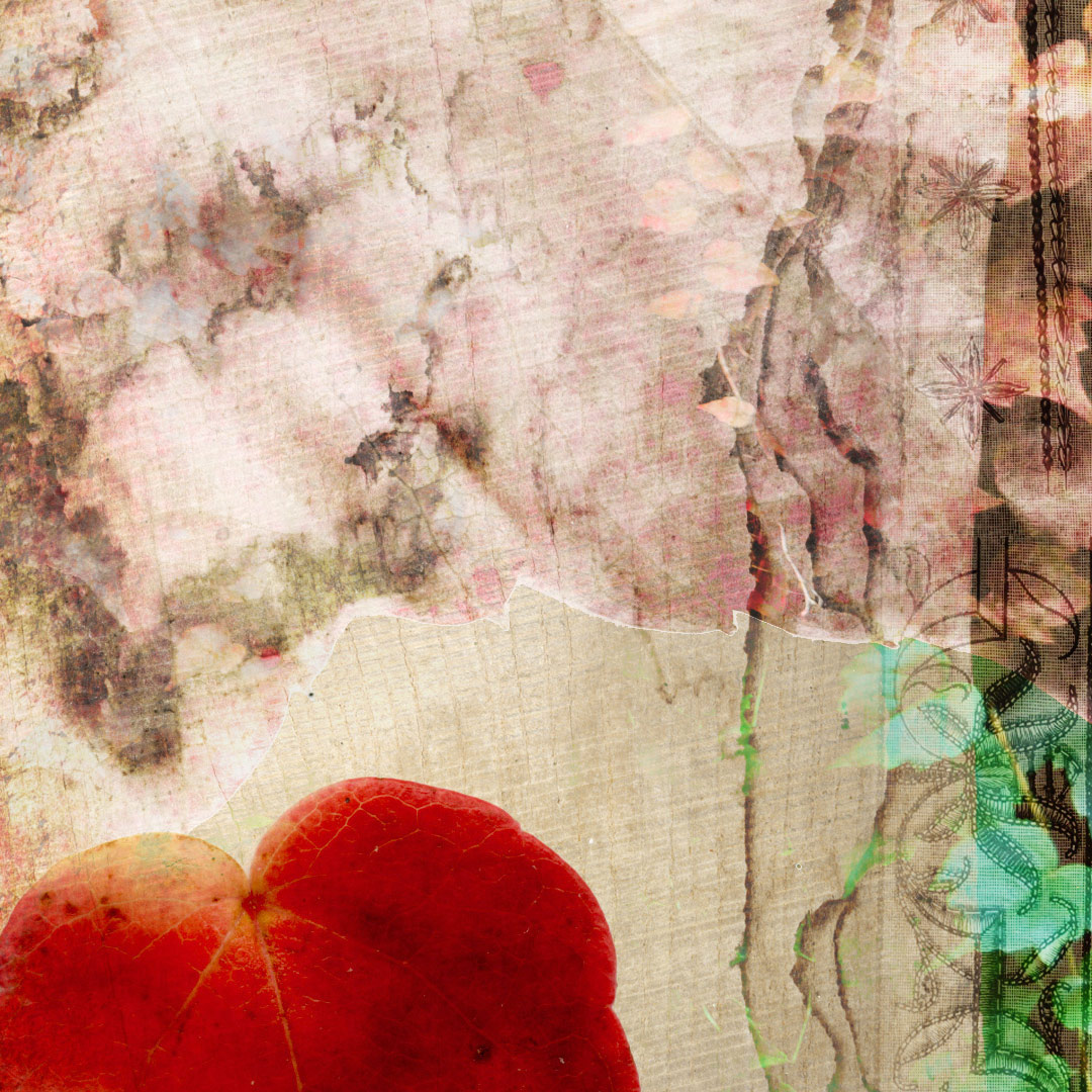 <img alt="" src="/user/pages/03.travaux/04.compositions-visuelles/tout/13.contree-du-lierre-rouge-2013/Contree-du-lierre-rouge-2013-zandrine-c-details-02.jpg?name" /> par Zandrine C