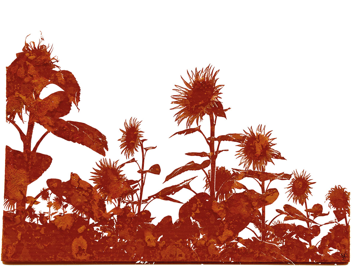 <img alt="" src="/user/pages/03.travaux/04.compositions-visuelles/tout/19.tournesols-2007/tournesols03-zandrine-c.jpg?name" /> par Zandrine C
