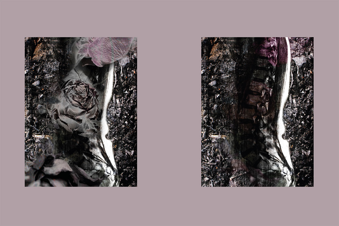 <img alt="" src="/user/pages/03.travaux/04.compositions-visuelles/tout/20.dyptique-vertebral-2006/dyptique-vertebral-bache-web.jpg?name" /> par Zandrine C