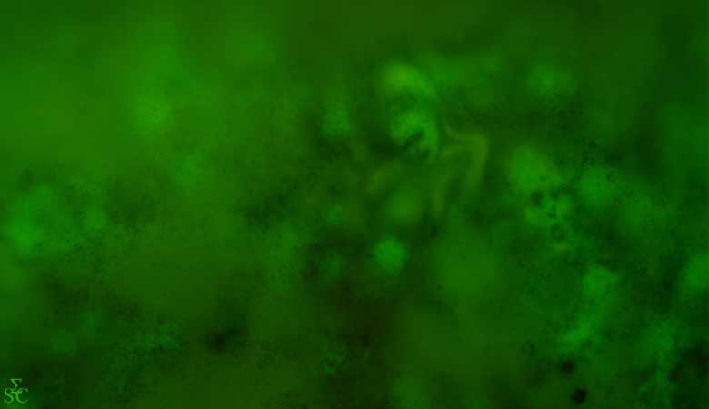 <img alt="" src="/user/pages/03.travaux/04.compositions-visuelles/tout/26.fantomes-2003/FantУmes-2003.jpg?name" /> par Zandrine C