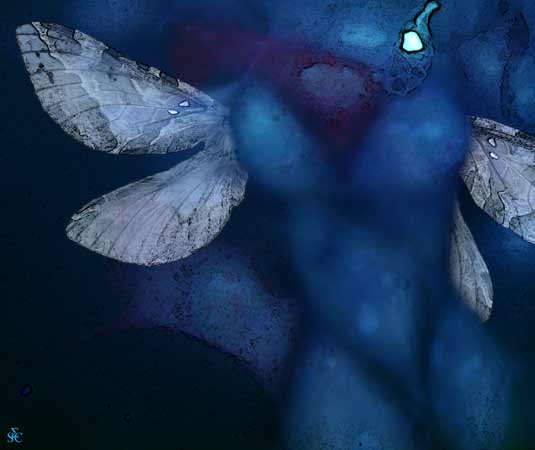<img alt="" src="/user/pages/03.travaux/04.compositions-visuelles/tout/28.femme-bleue-2003/Femme-bleue-2003.jpg?name" /> par Zandrine C