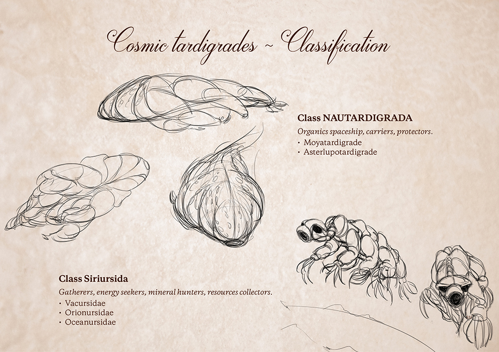 Classification des Tardigrades Cosmiques par Zandrine C