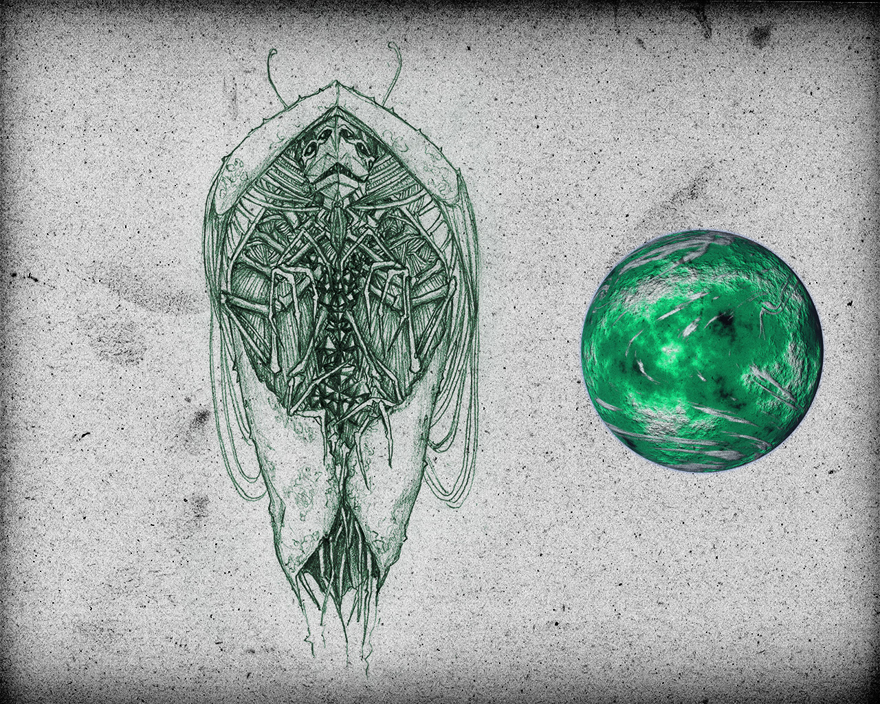 Installations par Zandrine C